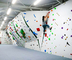Plywood Indoor Rock Climbing Panels Artificial Design With Auto Belay System
